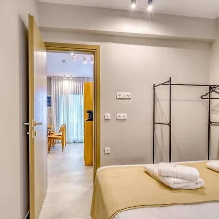 Ammos-villas 公寓 尼基季