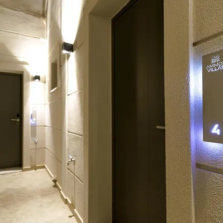 Ammos-villas 公寓 *